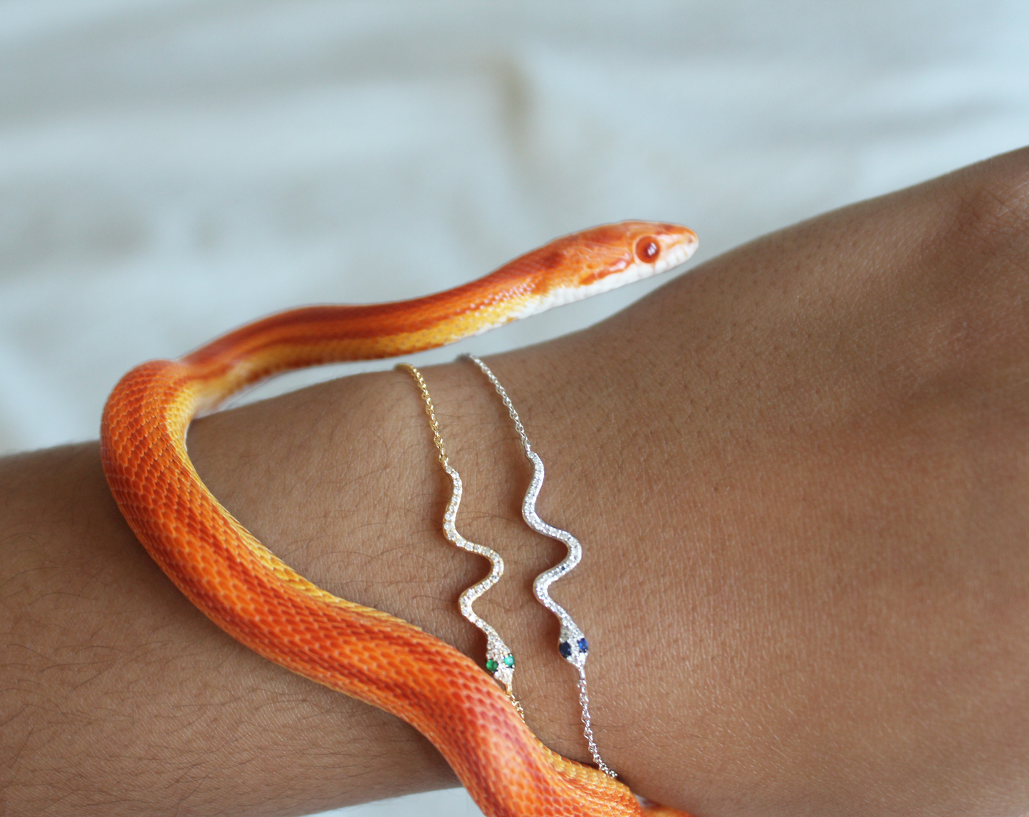 Boa Bracelet